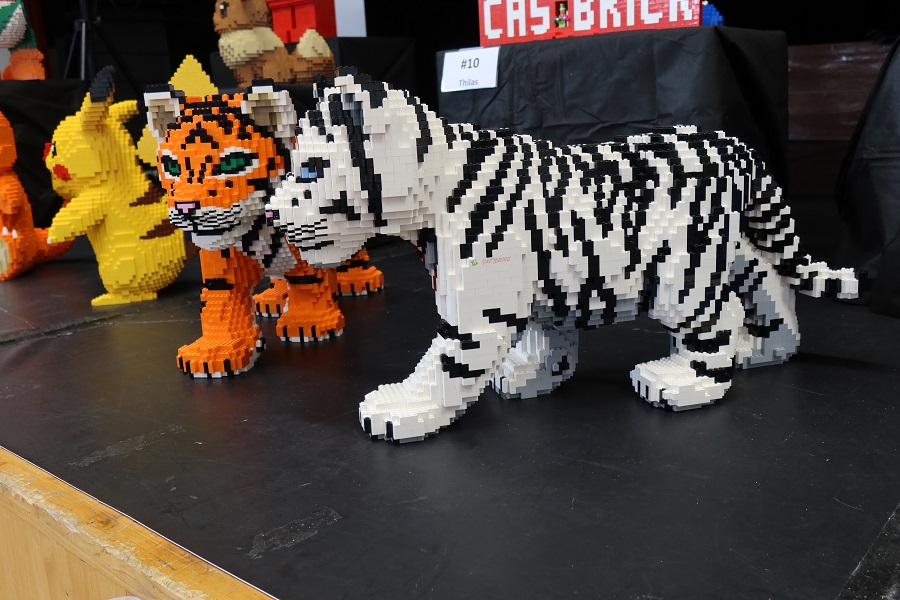 cbIMG8852.JPG