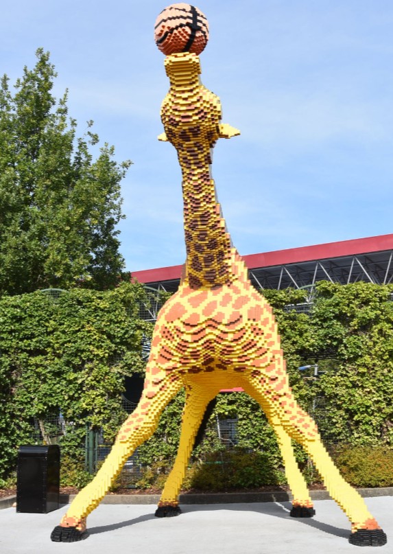 girafe.jpg